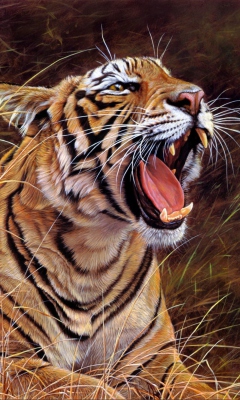 Das Tiger In The Grass Wallpaper 240x400