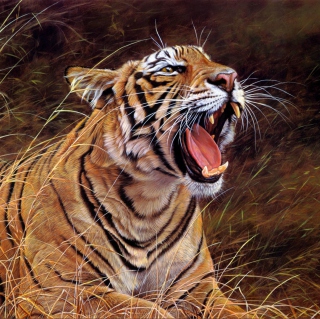 Kostenloses Tiger In The Grass Wallpaper für iPad