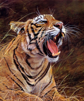 Tiger In The Grass - Obrázkek zdarma pro 240x320