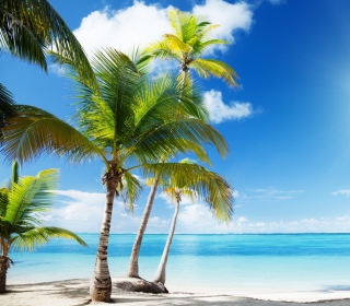 Tropical Beach - Obrázkek zdarma pro iPad Air