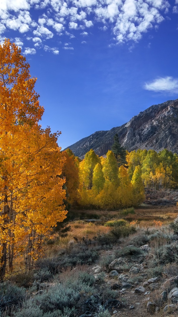 Wonderful mountain landscape screenshot #1 750x1334