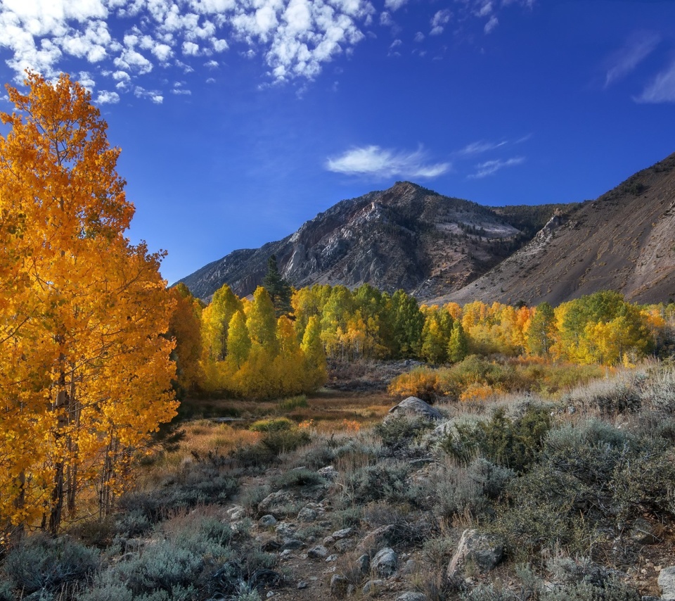 Wonderful mountain landscape wallpaper 960x854