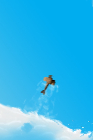 Airplane In Sky screenshot #1 320x480