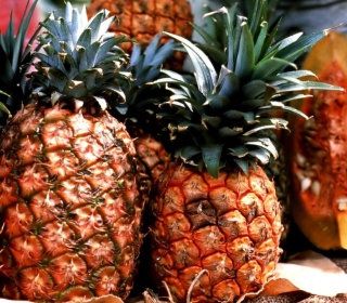 Pineapples sfondi gratuiti per 128x128