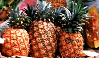 Pineapples Picture for Android, iPhone and iPad
