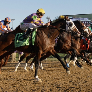 Breeders Cup sfondi gratuiti per iPad mini 2