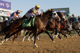 Breeders Cup Background for Android, iPhone and iPad
