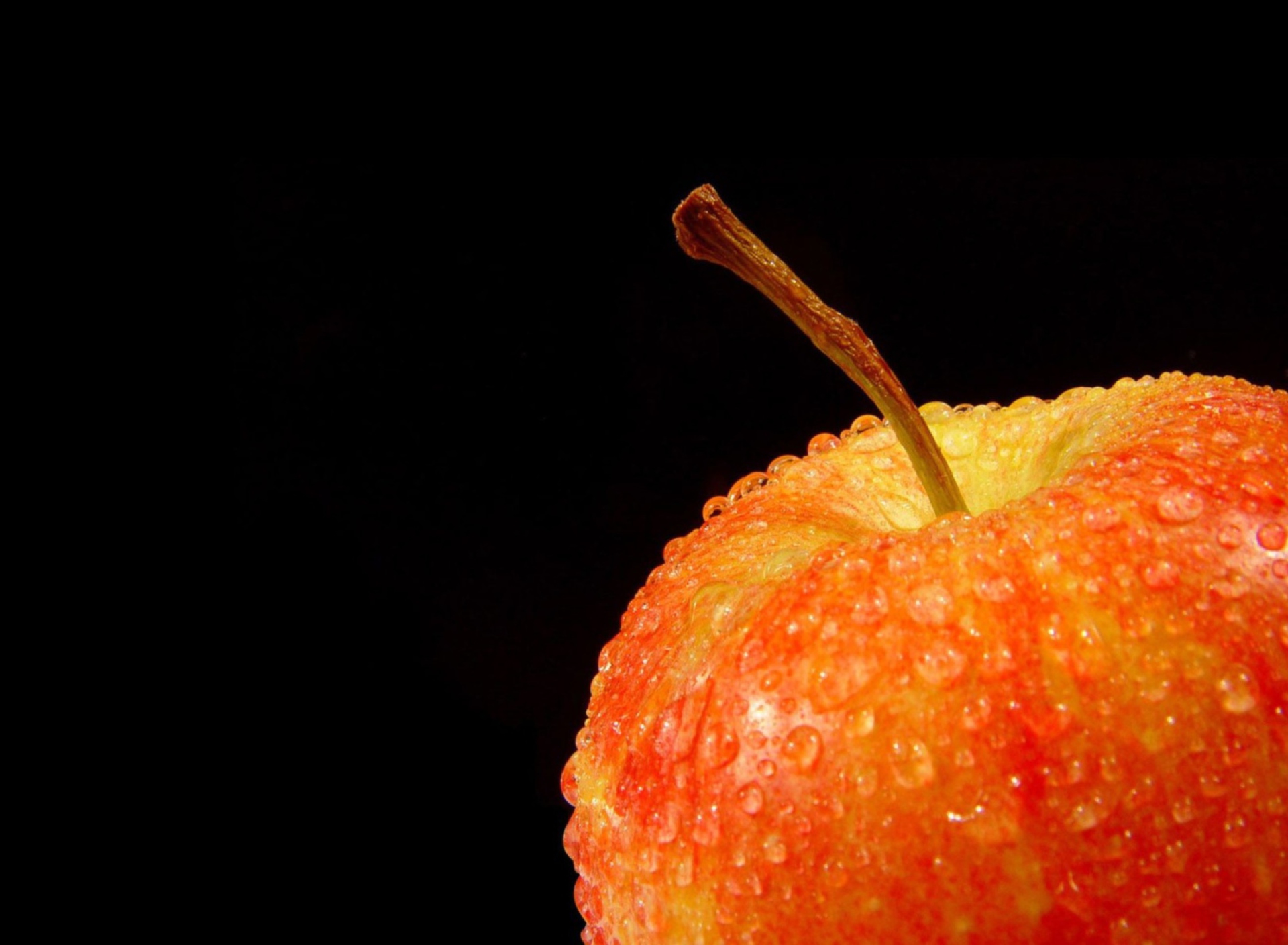 Fondo de pantalla Apple On Black 1920x1408