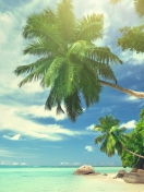 Tropical Island screenshot #1 132x176