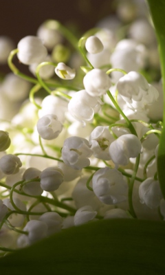 Lily Of The Valley Bouquet screenshot #1 240x400