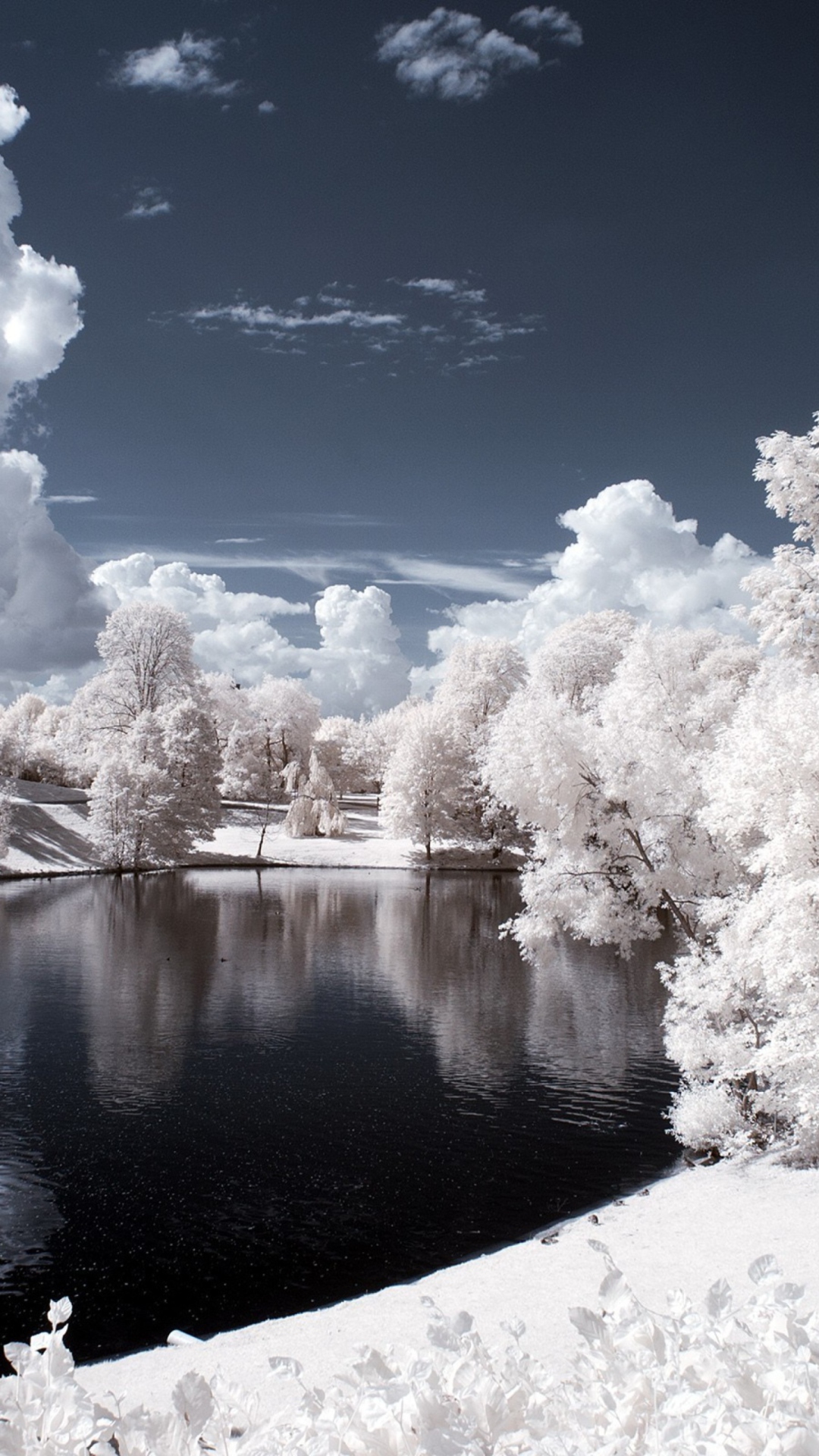 Snowy Landscape wallpaper 1080x1920