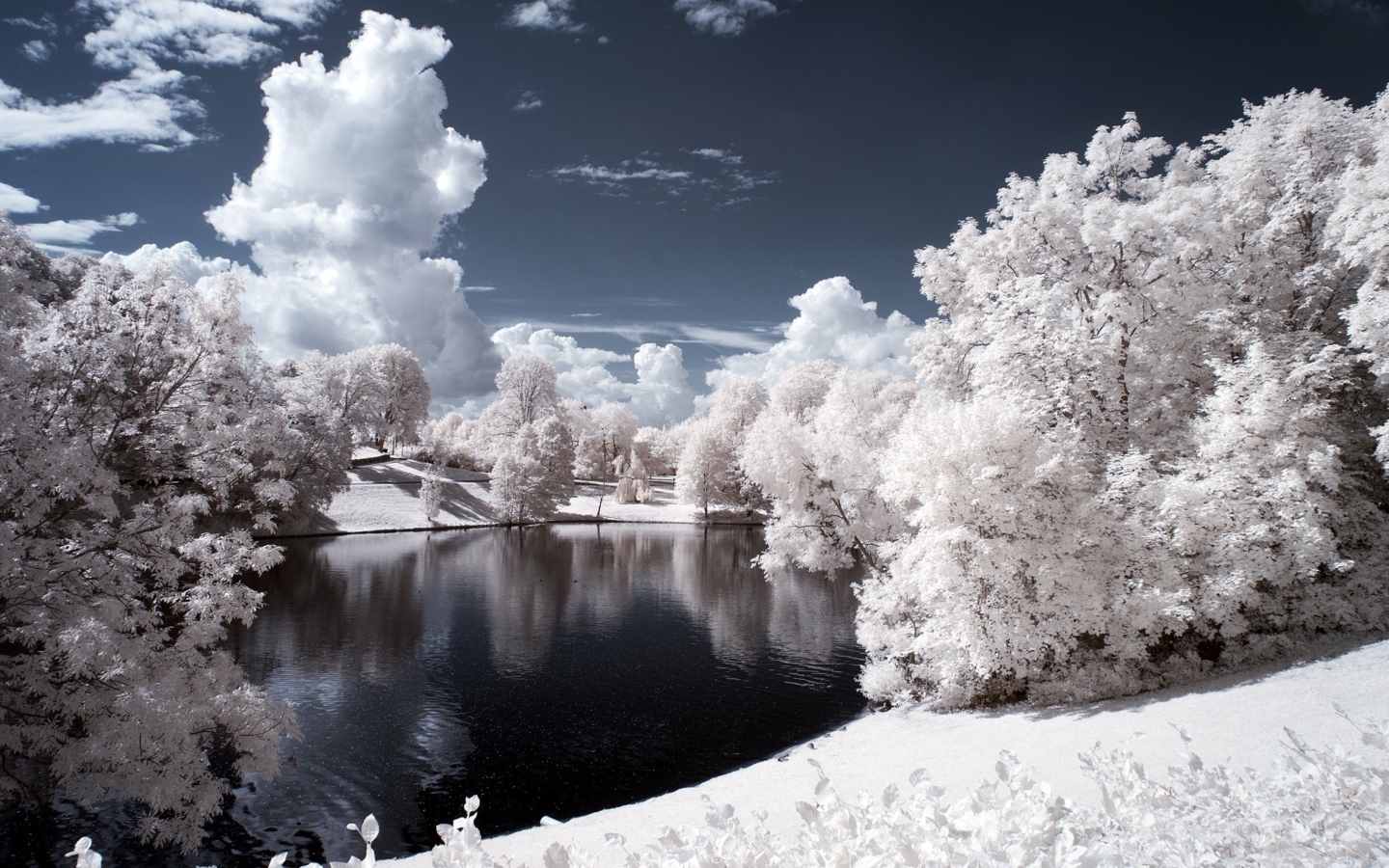 Screenshot №1 pro téma Snowy Landscape 1440x900