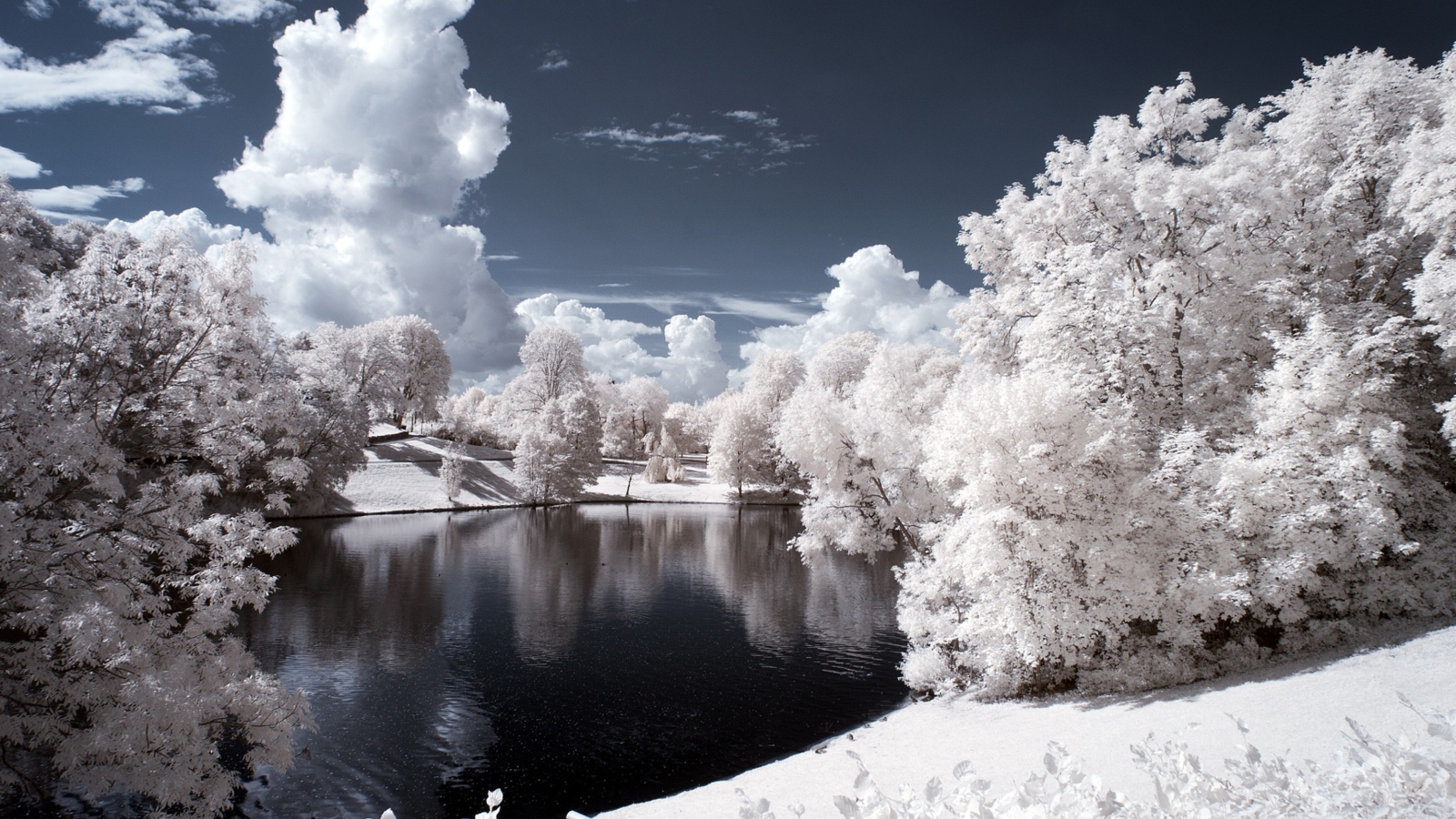 Screenshot №1 pro téma Snowy Landscape 1600x900