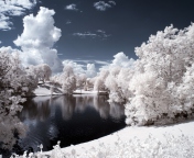Snowy Landscape screenshot #1 176x144