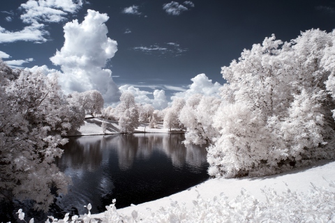 Fondo de pantalla Snowy Landscape 480x320