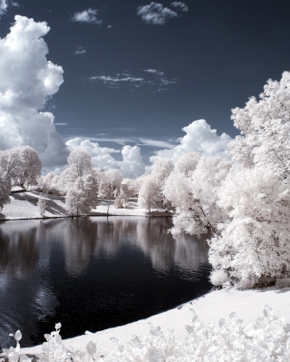 Snowy Landscape - Obrázkek zdarma pro 320x480