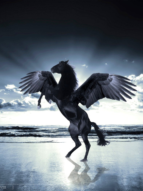 Pegasus wallpaper 480x640