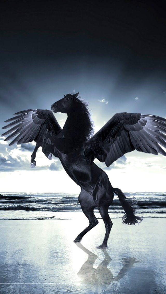 Pegasus wallpaper 640x1136