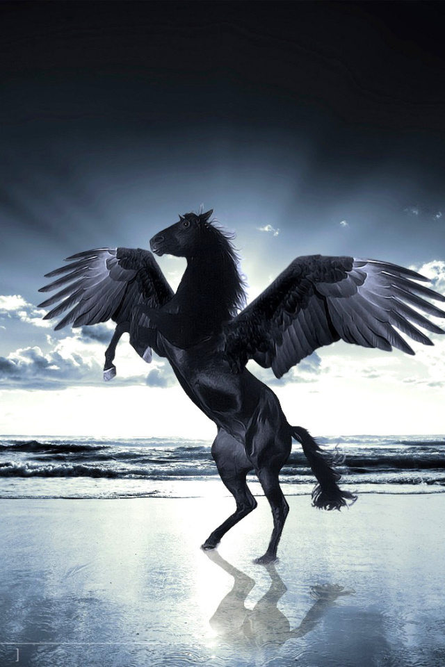 Fondo de pantalla Pegasus 640x960