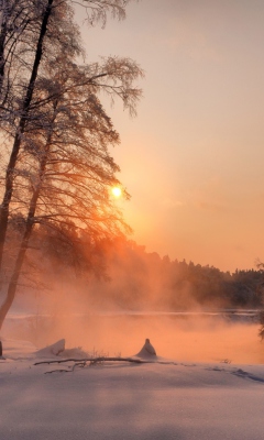 Winter Sun Over River wallpaper 240x400