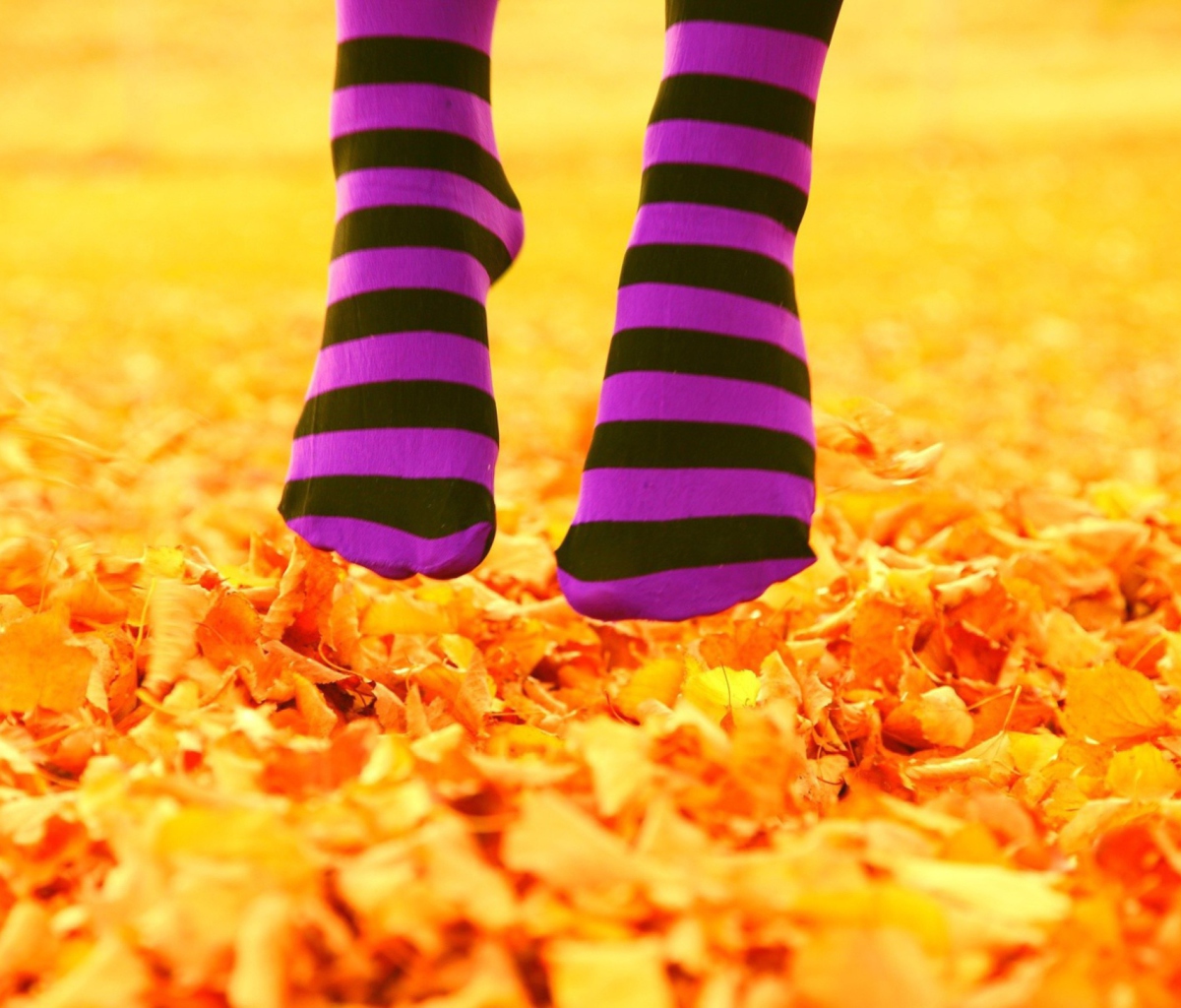 Sfondi Purple Feet And Yellow Leaves 1200x1024