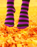 Screenshot №1 pro téma Purple Feet And Yellow Leaves 128x160