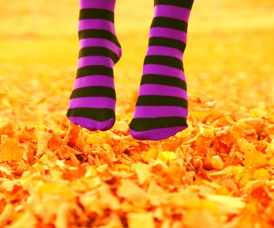 Fondo de pantalla Purple Feet And Yellow Leaves 960x800