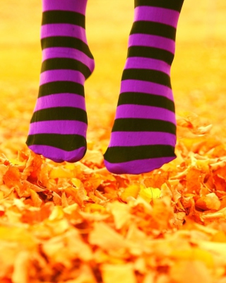 Kostenloses Purple Feet And Yellow Leaves Wallpaper für iPhone 5