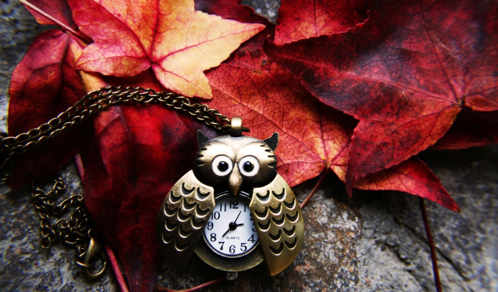 Обои Retro Owl Watch And Autumn Leaves 1024x600