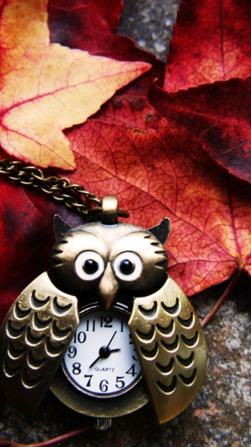 Sfondi Retro Owl Watch And Autumn Leaves 360x640