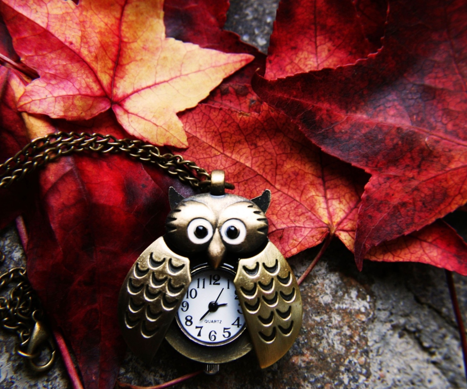 Retro Owl Watch And Autumn Leaves wallpaper 960x800