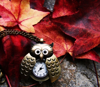 Kostenloses Retro Owl Watch And Autumn Leaves Wallpaper für iPad 3