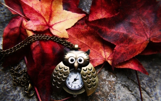 Retro Owl Watch And Autumn Leaves - Obrázkek zdarma 