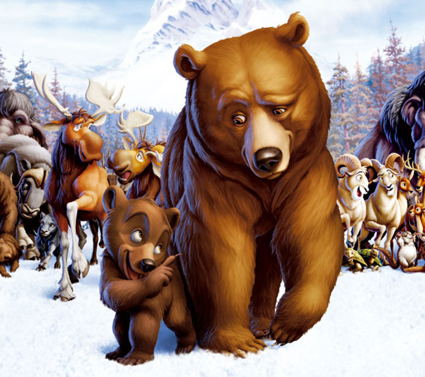 Das Brother Bear Cartoon Wallpaper 1440x1280