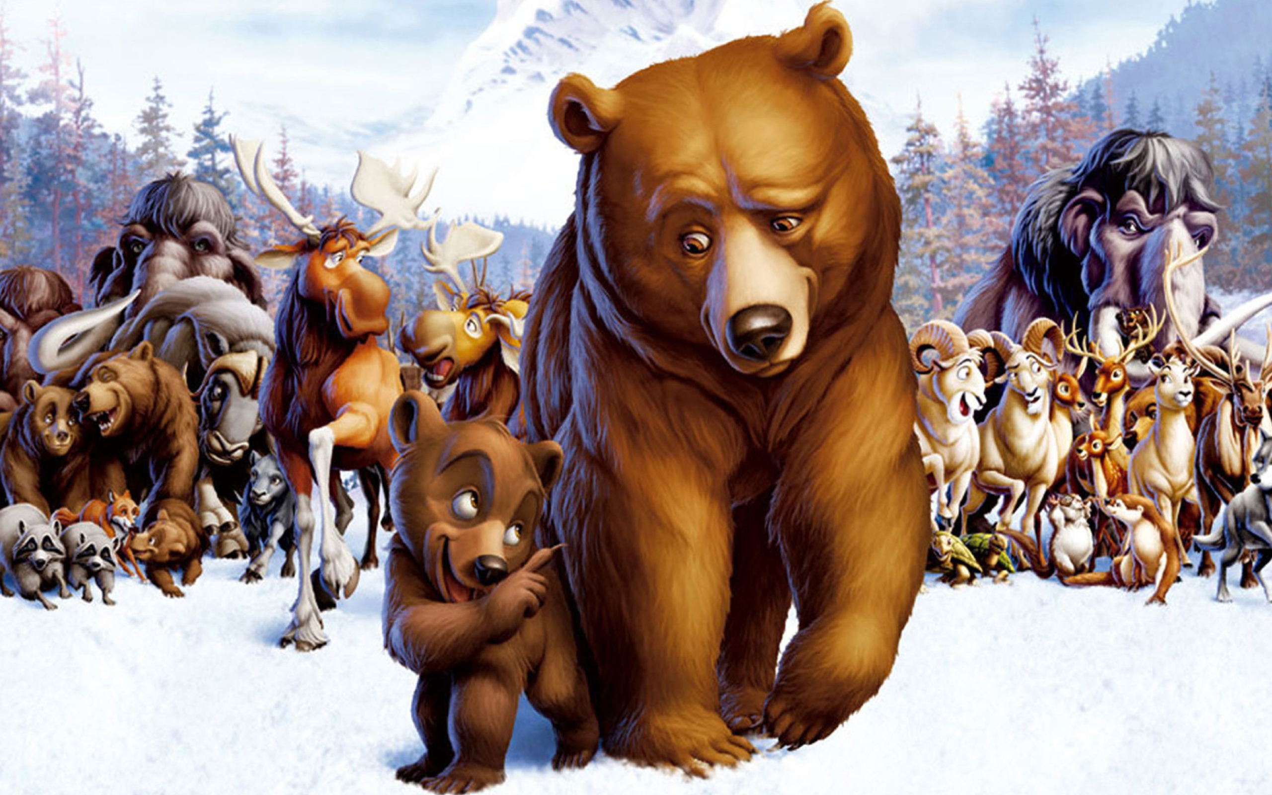 Brother Bear Cartoon wallpaper 2560x1600