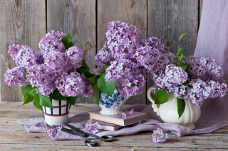 Lilac Bouquet Background for Android, iPhone and iPad