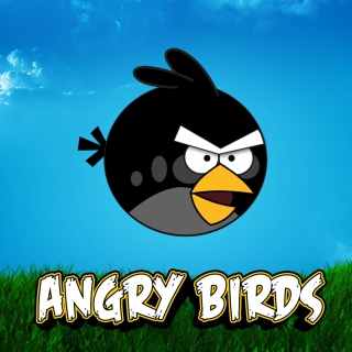 Angry Birds Black - Obrázkek zdarma pro 1024x1024