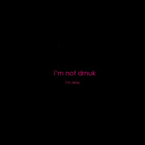 Sfondi Im not Drunk Im Okay 208x208