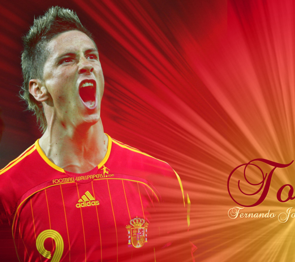 Screenshot №1 pro téma Fernando Torres 960x854