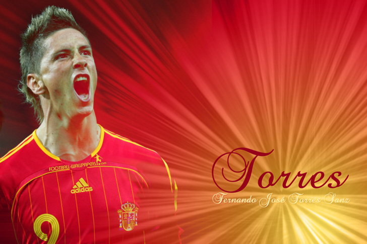Screenshot №1 pro téma Fernando Torres