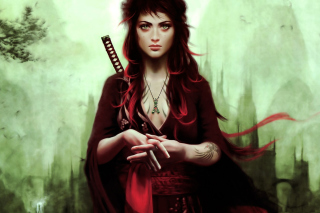 Warrior Girl - Obrázkek zdarma pro 220x176
