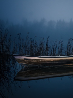 Boat in Night wallpaper 240x320