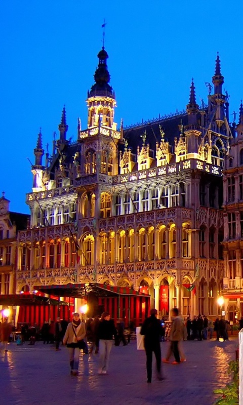 Screenshot №1 pro téma La Grand Place Brussels 480x800