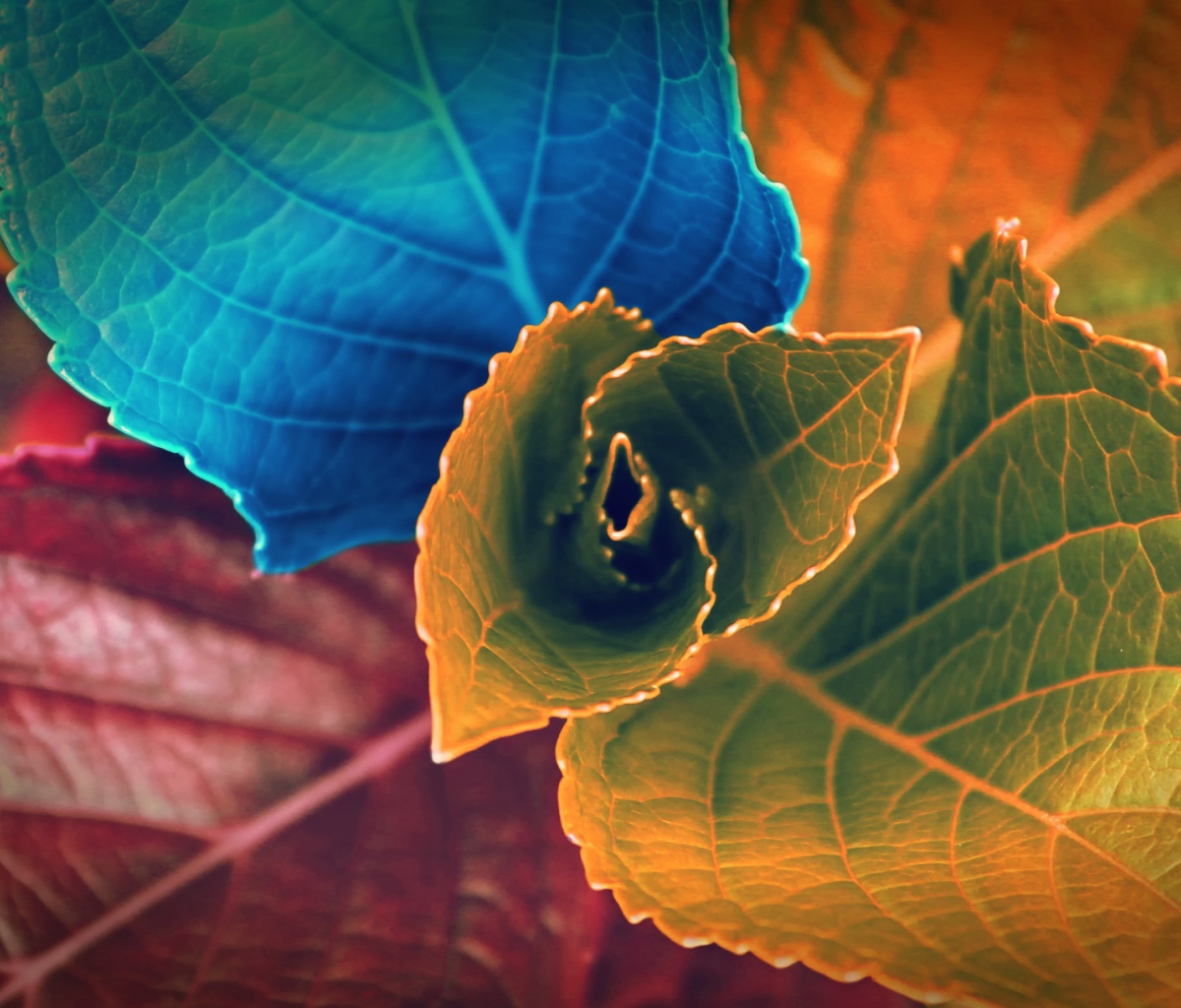 Colorful Plant screenshot #1 1200x1024
