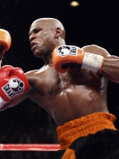 Screenshot №1 pro téma Floyd Mayweather 132x176