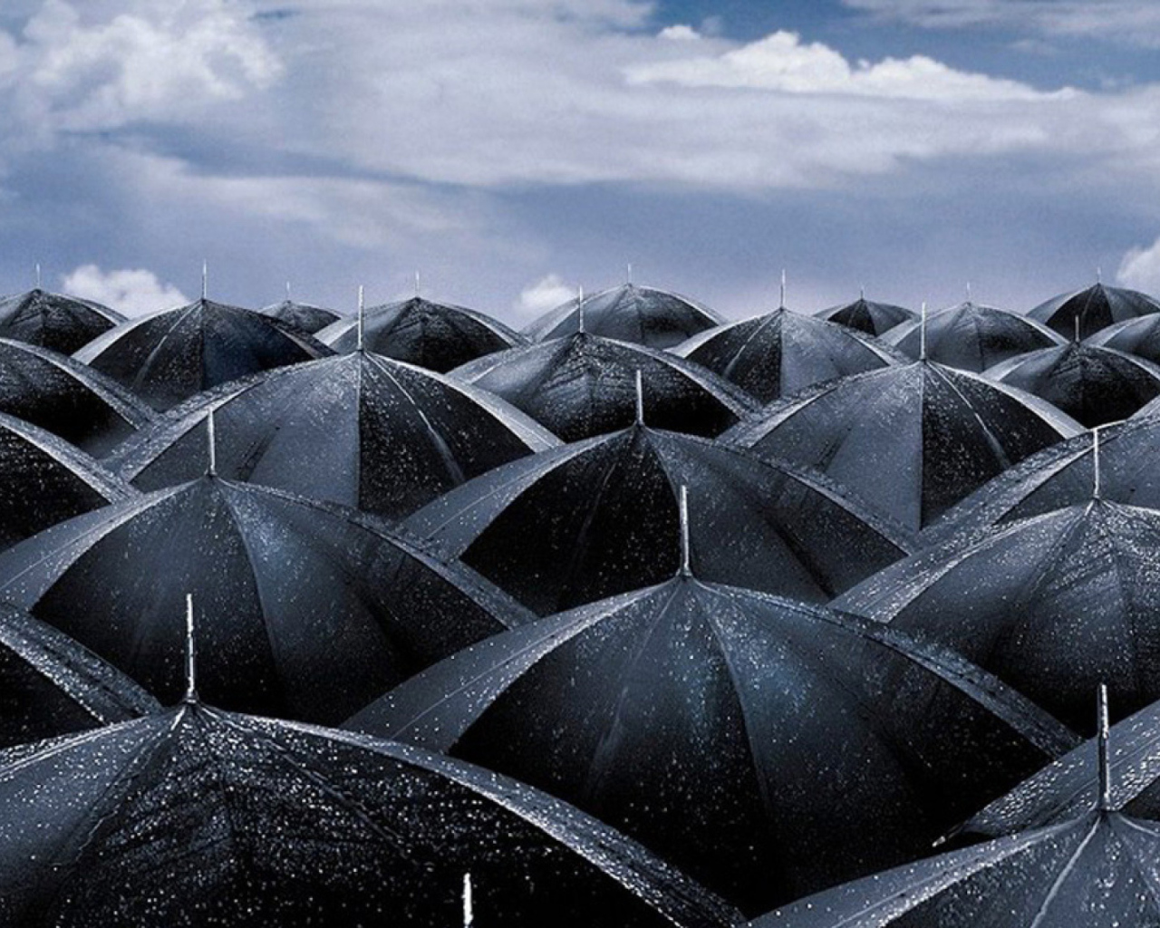 Sfondi Umbrellas 1280x1024