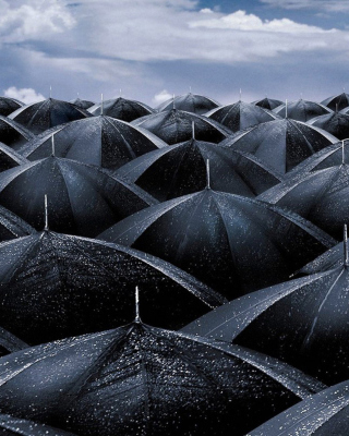 Umbrellas - Obrázkek zdarma pro Nokia Asha 305