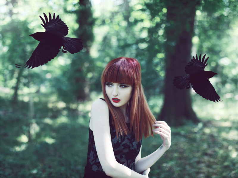 Screenshot №1 pro téma Girl And Ravens 800x600