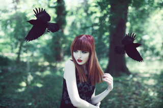 Girl And Ravens Wallpaper for Android, iPhone and iPad