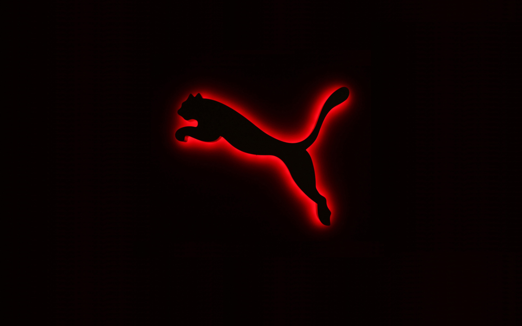 Puma Logo wallpaper 1680x1050